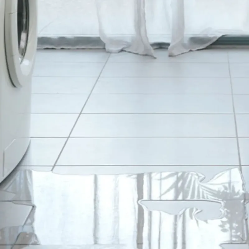 Appliance Leak Cleanup in Oak Grove, OR